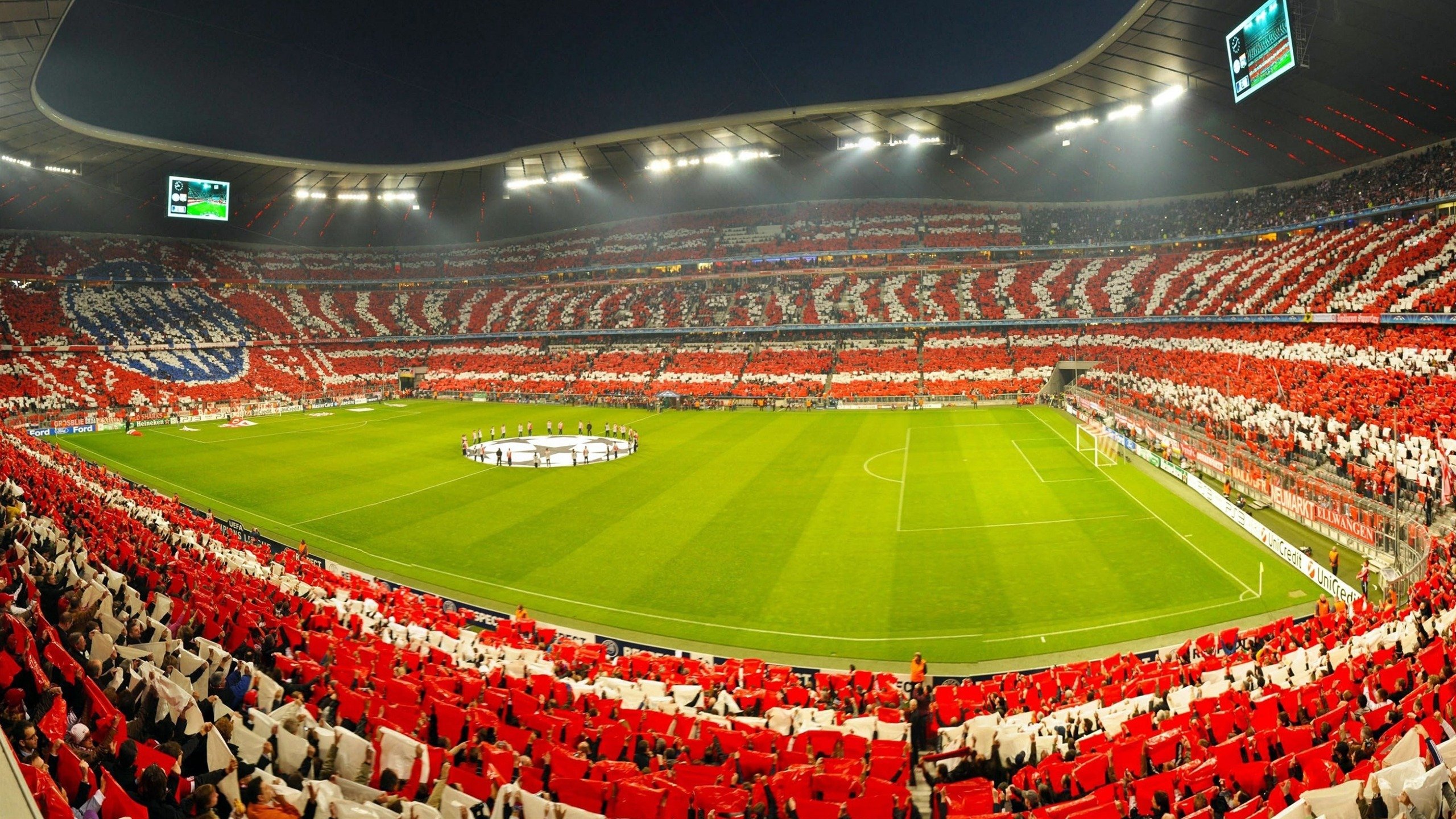 自由泳巅峰对决，世界纪录保持者再创佳绩，新星选手异军突起