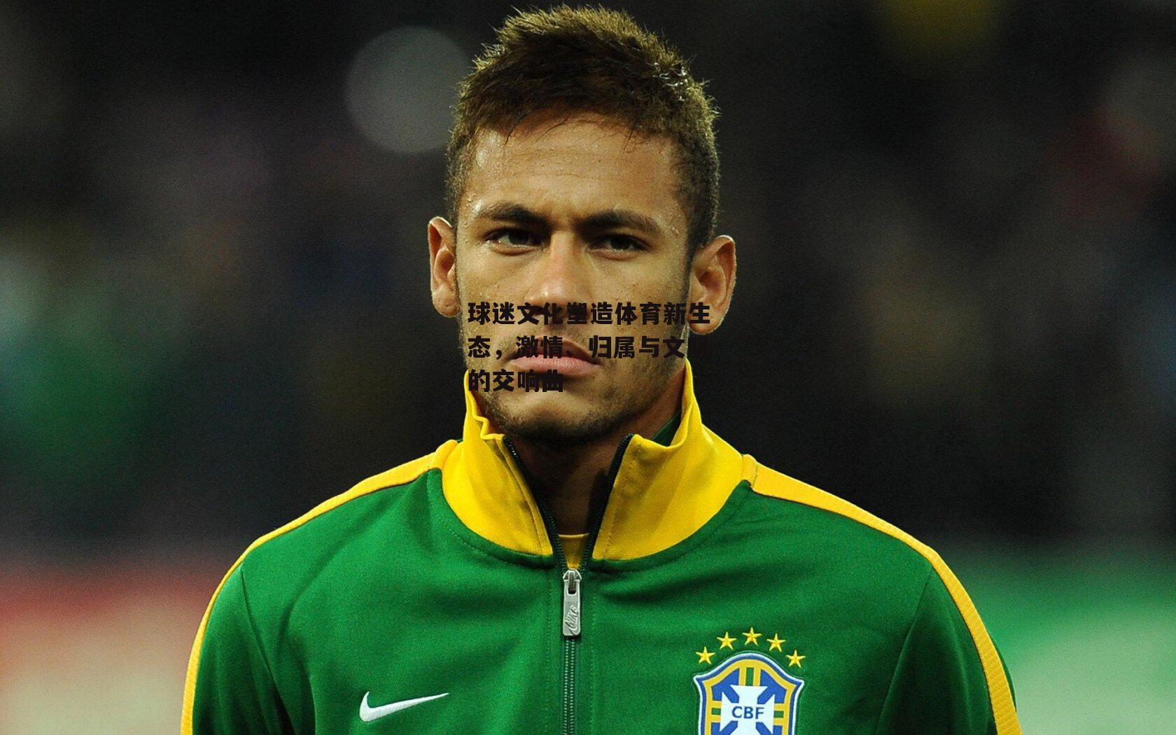 球迷文化塑造体育新生态，激情、归属与文明的交响曲