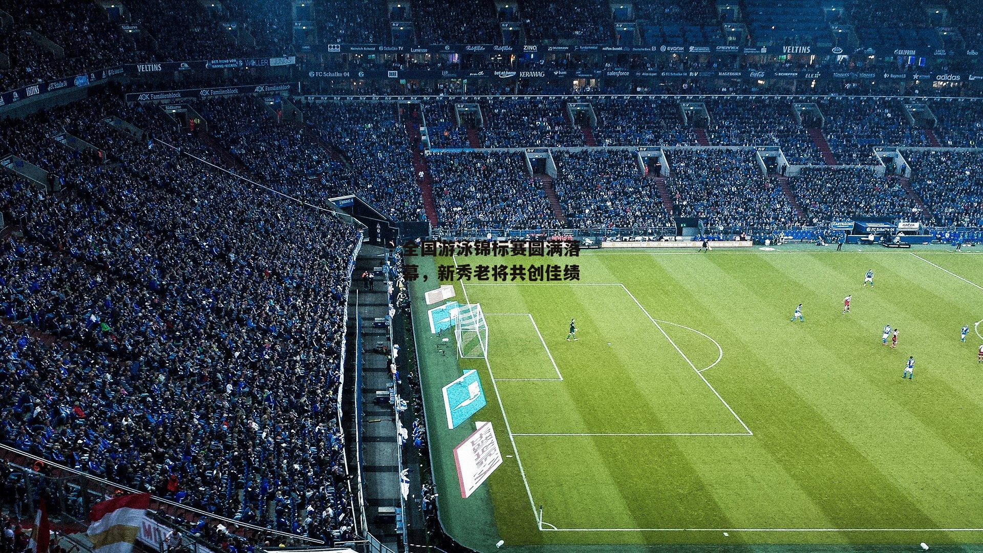 全国游泳锦标赛圆满落幕，新秀老将共创佳绩